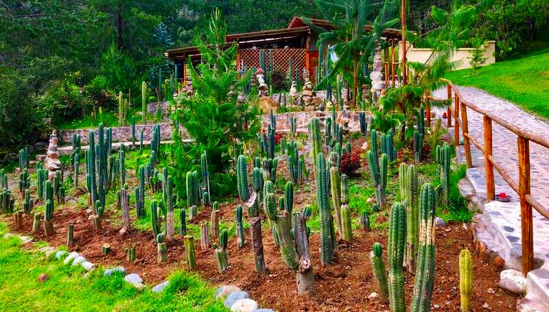 Gaia Sagrada Retreat