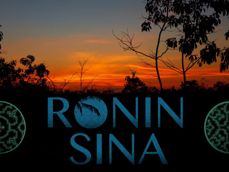 Centro Ronin Sina