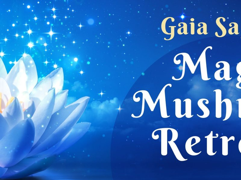 Gaia Sagrada Magic Mushroom Retreats