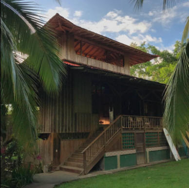 Rainforest Medicine Gatherings