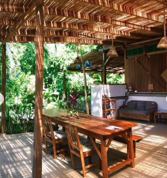 Rainforest Medicine Gatherings