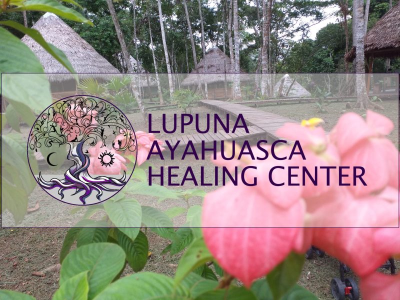 Lupuna Ayahuasca Healing Center