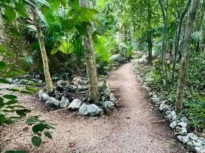 Bluestone Ayahuasca