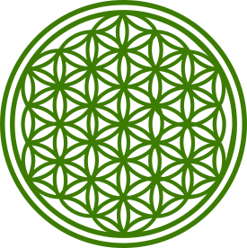 Flower of Life Ayahuasca Retreats