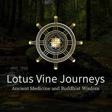 Lotus Vine Journeys