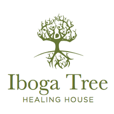 Iboga Tree – Healing House