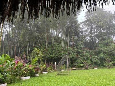 ANEWLux Retreats
