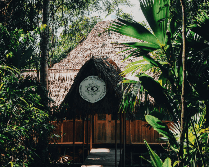 Planta Maestra Ayahuasca Healing Retreat Center