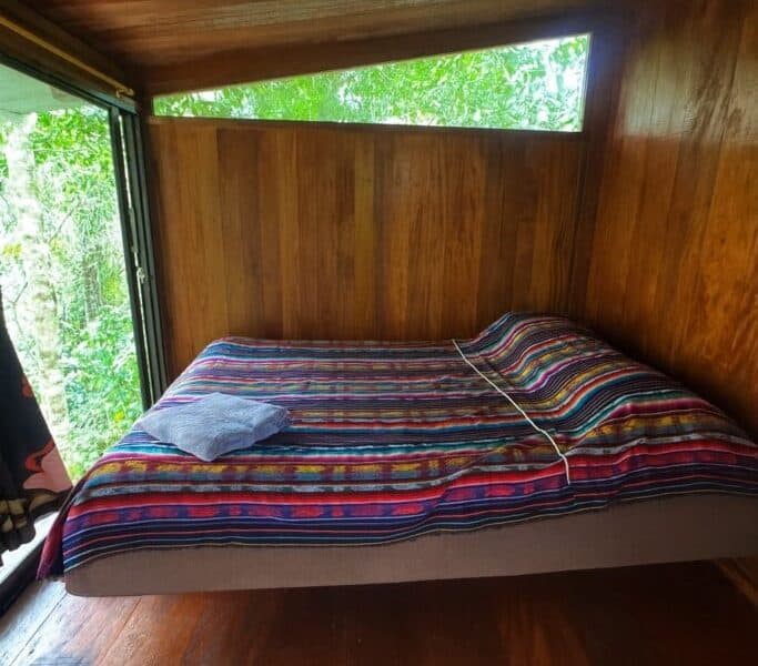 Amayas Ayahuasca Ecuador