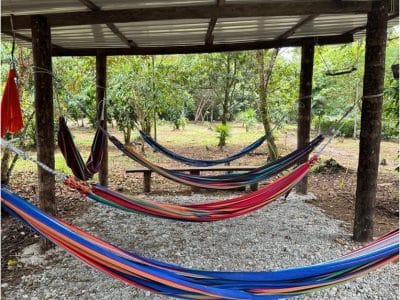 Amayas Ayahuasca Ecuador