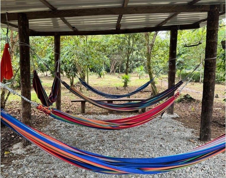 Amayas Ayahuasca Ecuador