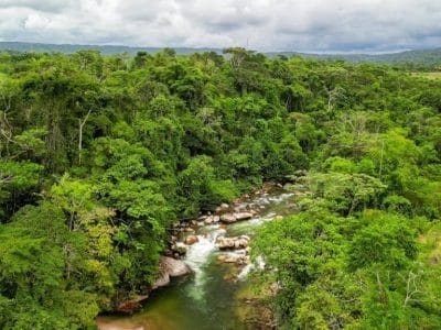 Amayas Ayahuasca Ecuador