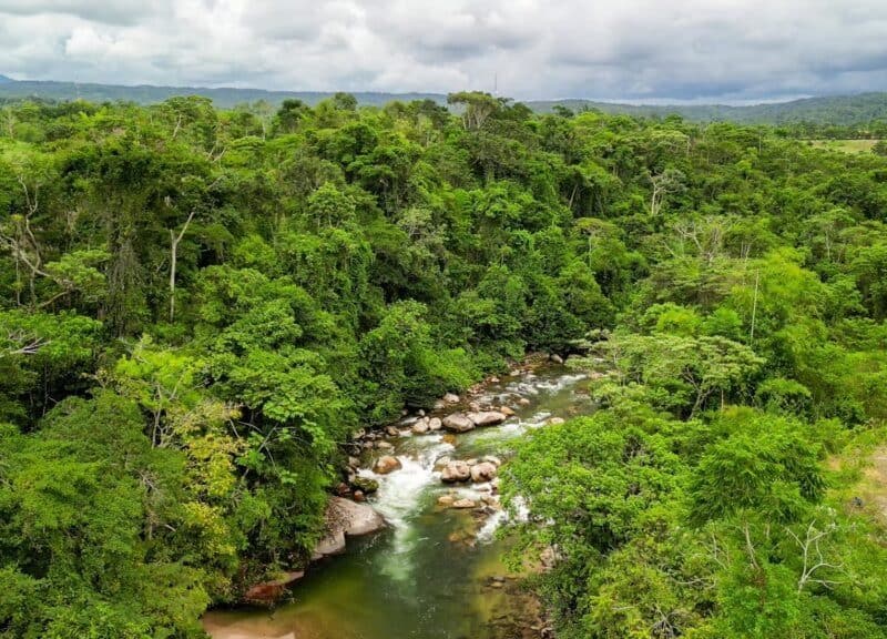 Amayas Ayahuasca Ecuador
