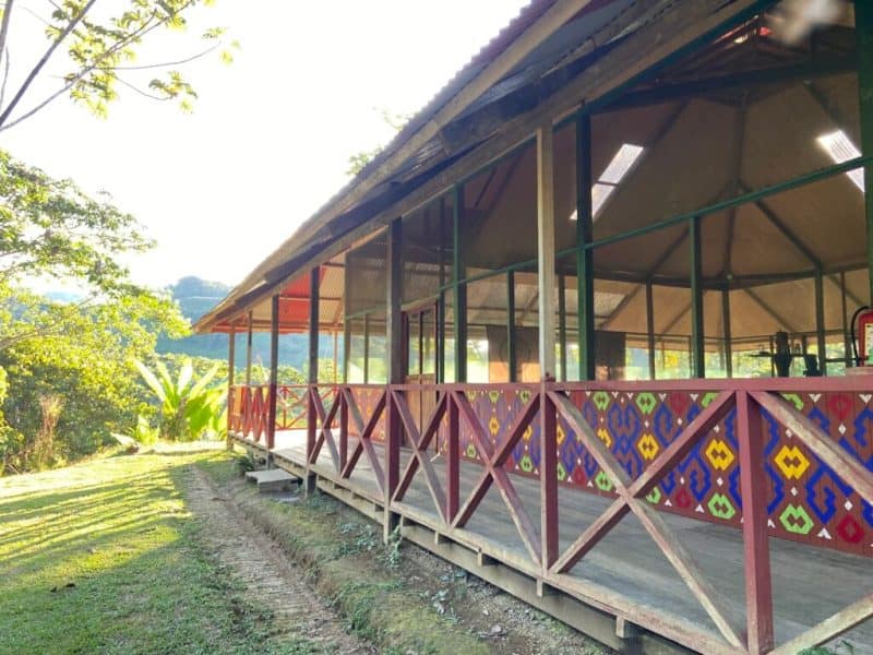 Amazonia Moyano Ayahuasca Healing Center