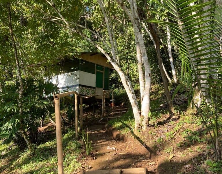 Amazonia Moyano Ayahuasca Healing Center