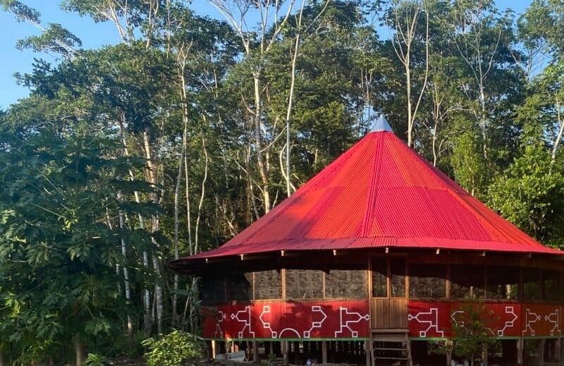 Epicenter Ayahuasca
