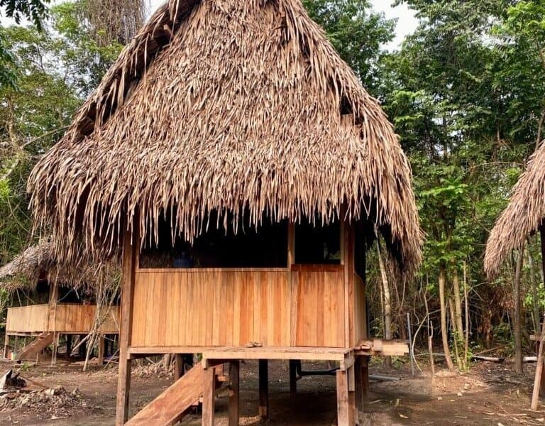 Epicenter Ayahuasca