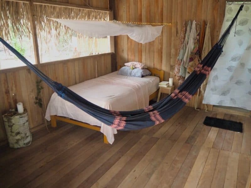 Epicenter Ayahuasca
